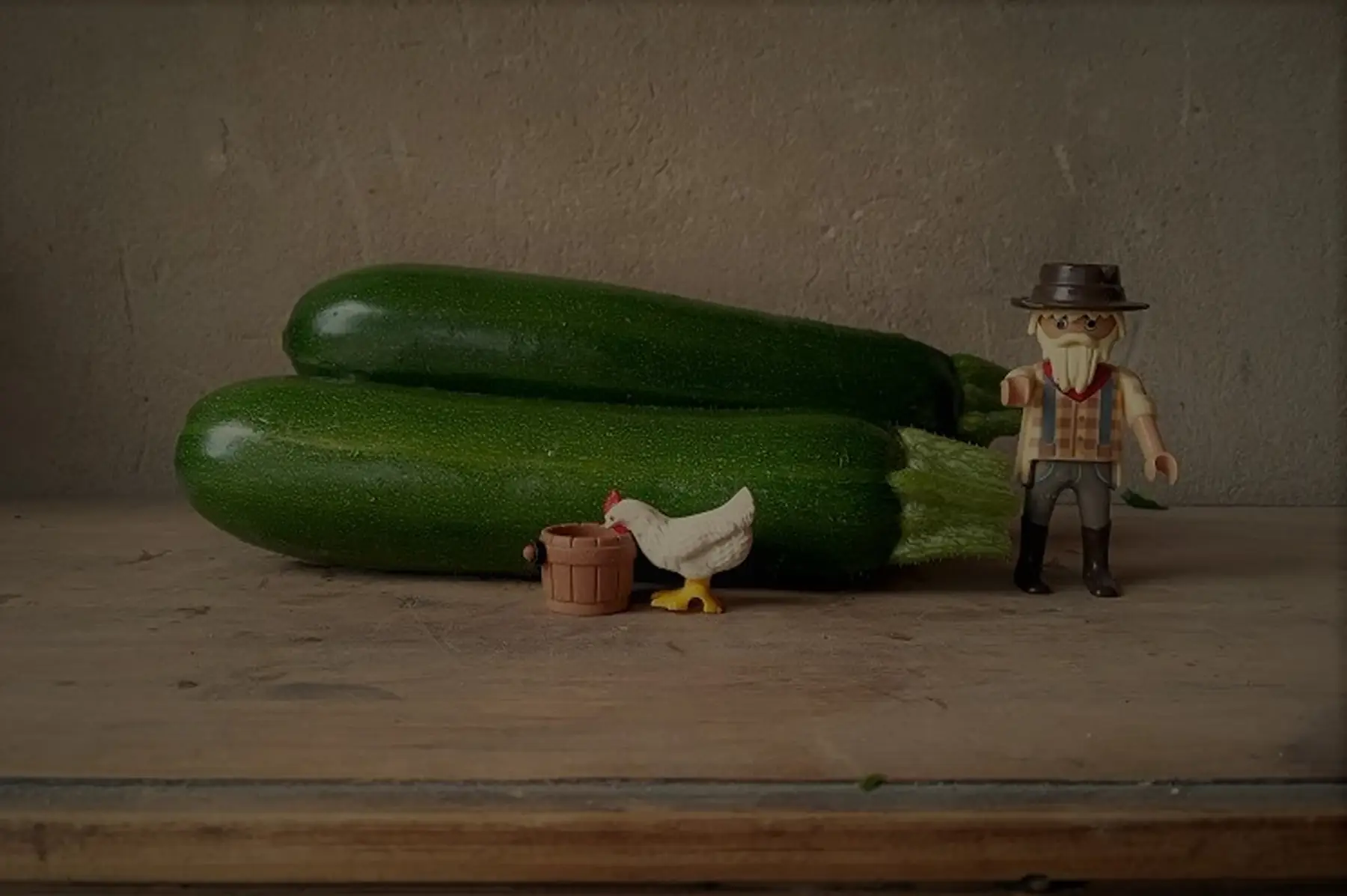 courgette