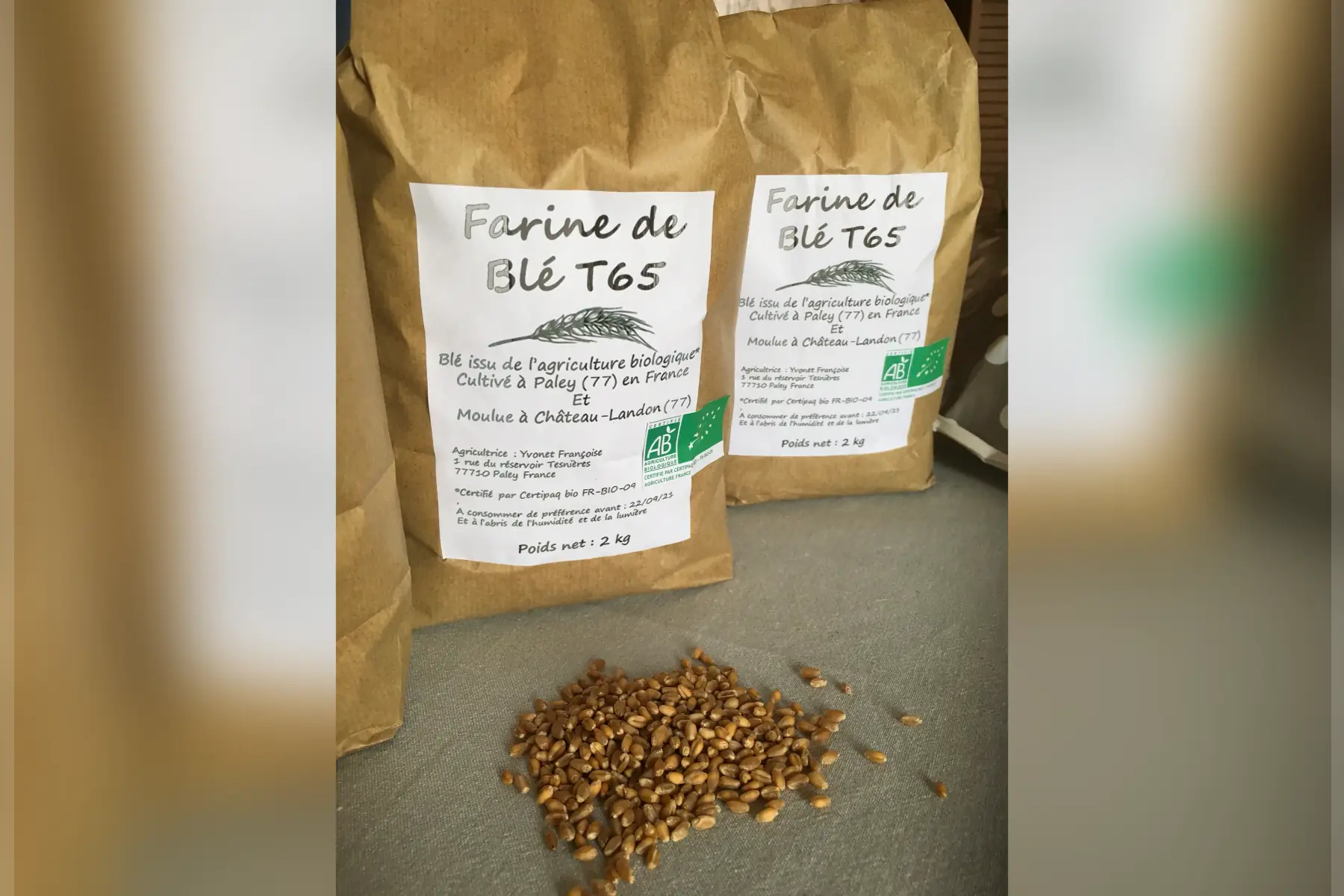 farine de blé bio t65
