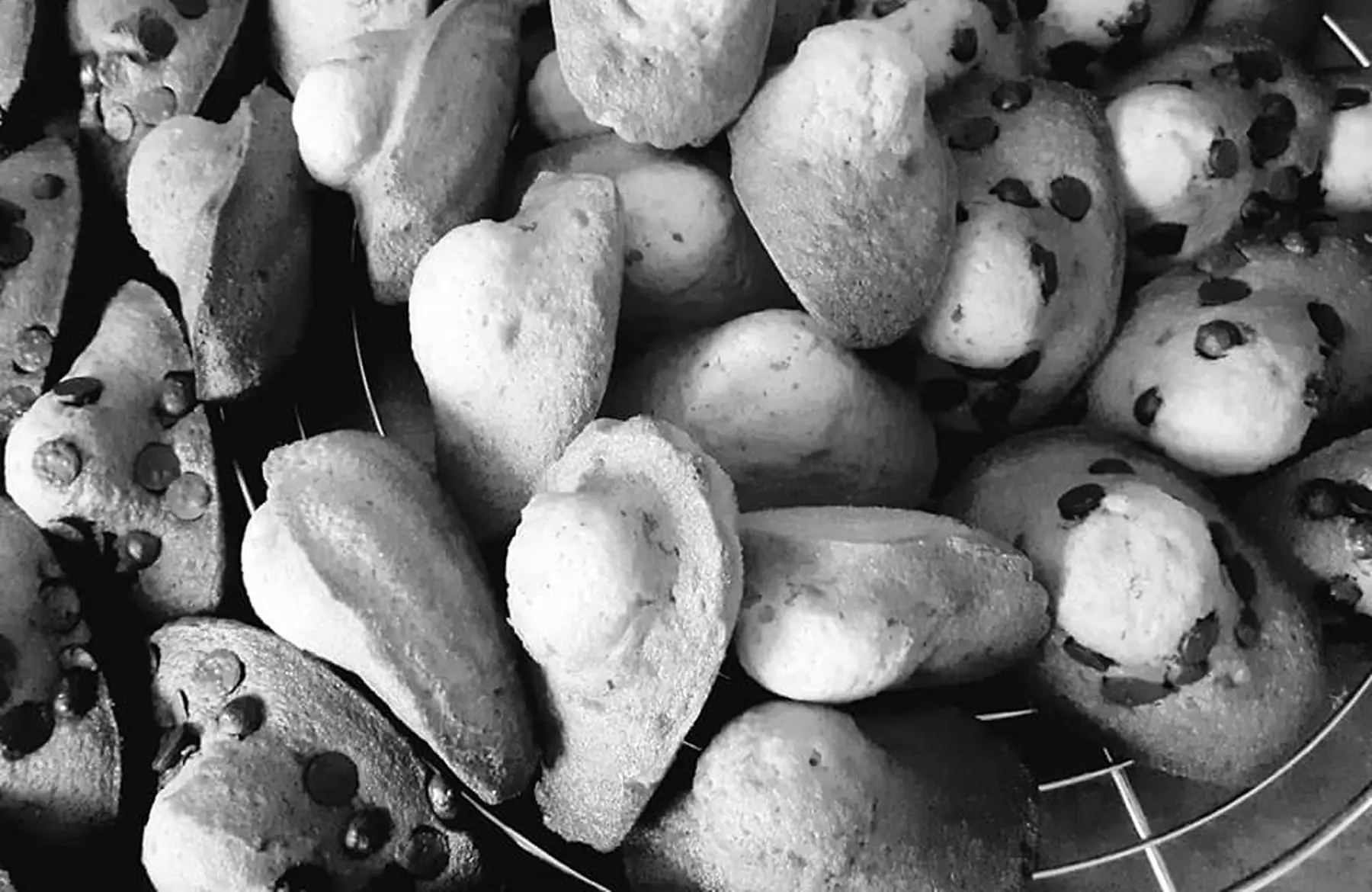 madeleines nature et pepites de chocolat