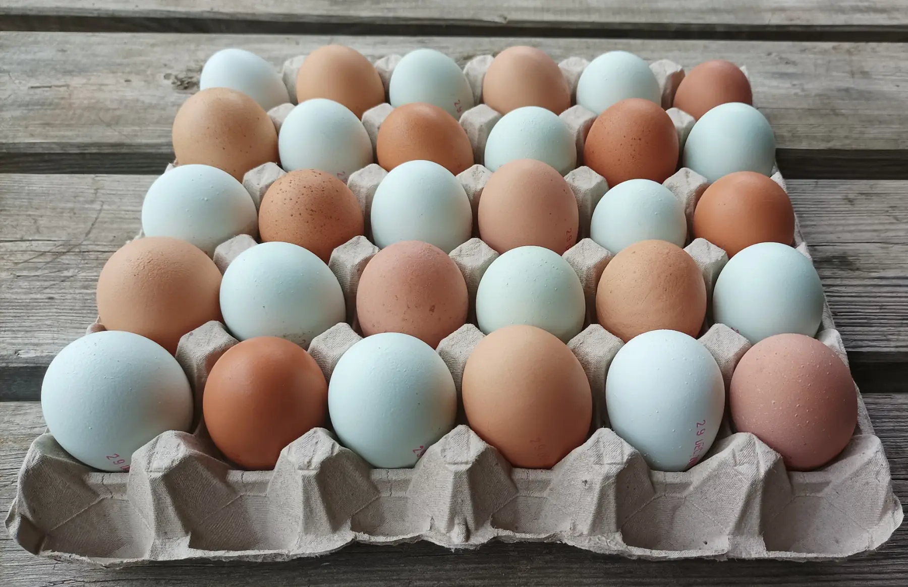 œufs extra frais - plateau de 30