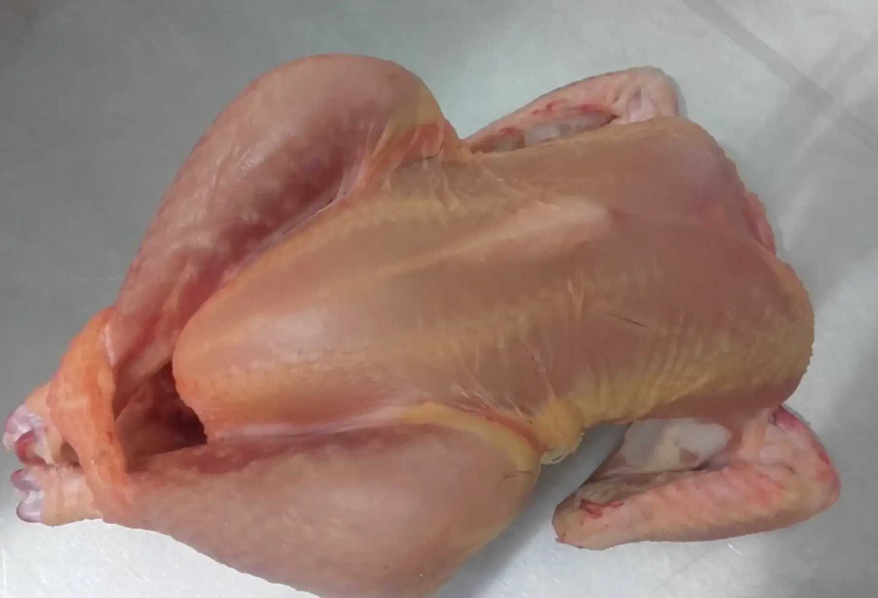 COMMANDE de poule prête à cuire