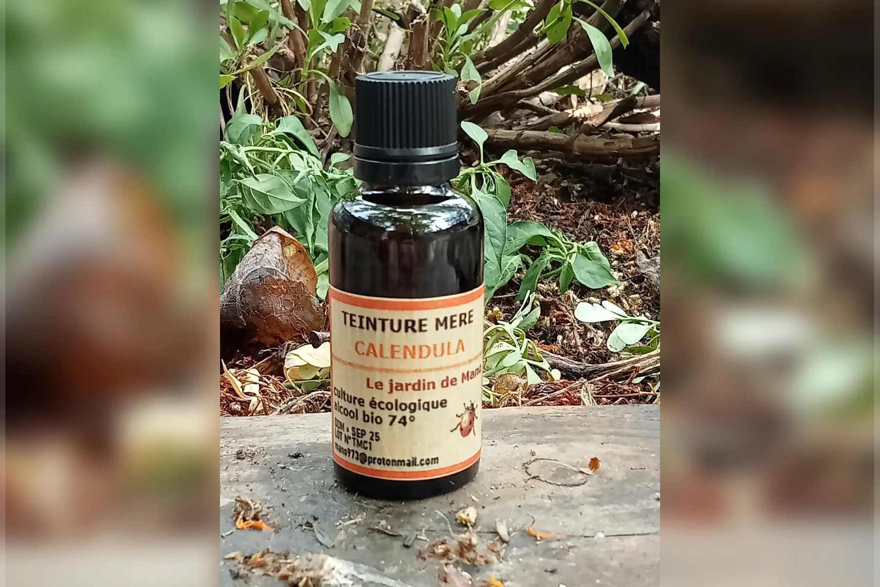 teinture mère calendula - 30 ml