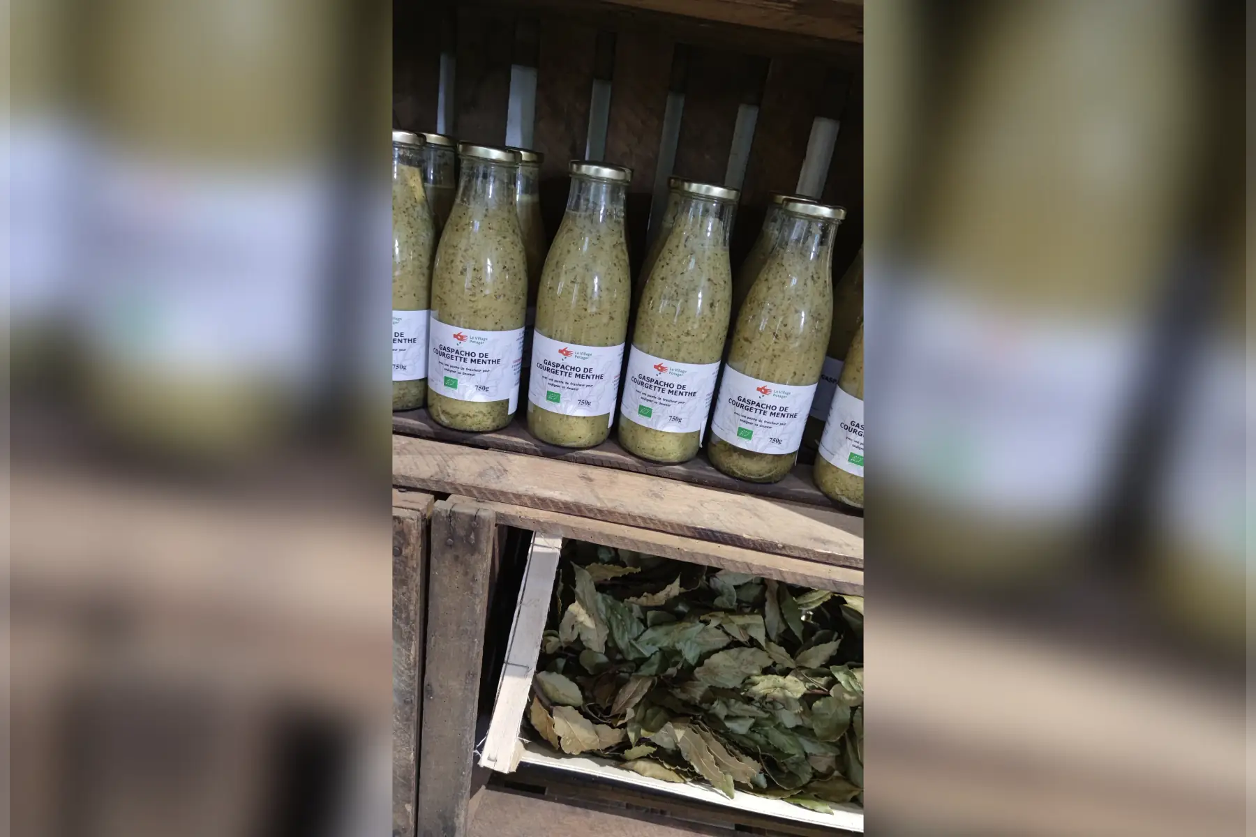 Gaspacho Courgette Menthe