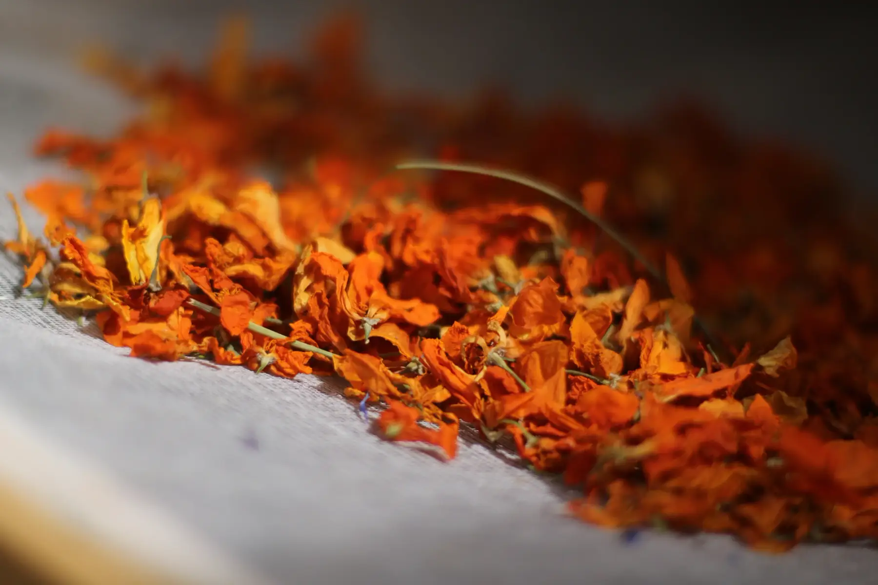 tisane légende d'automne