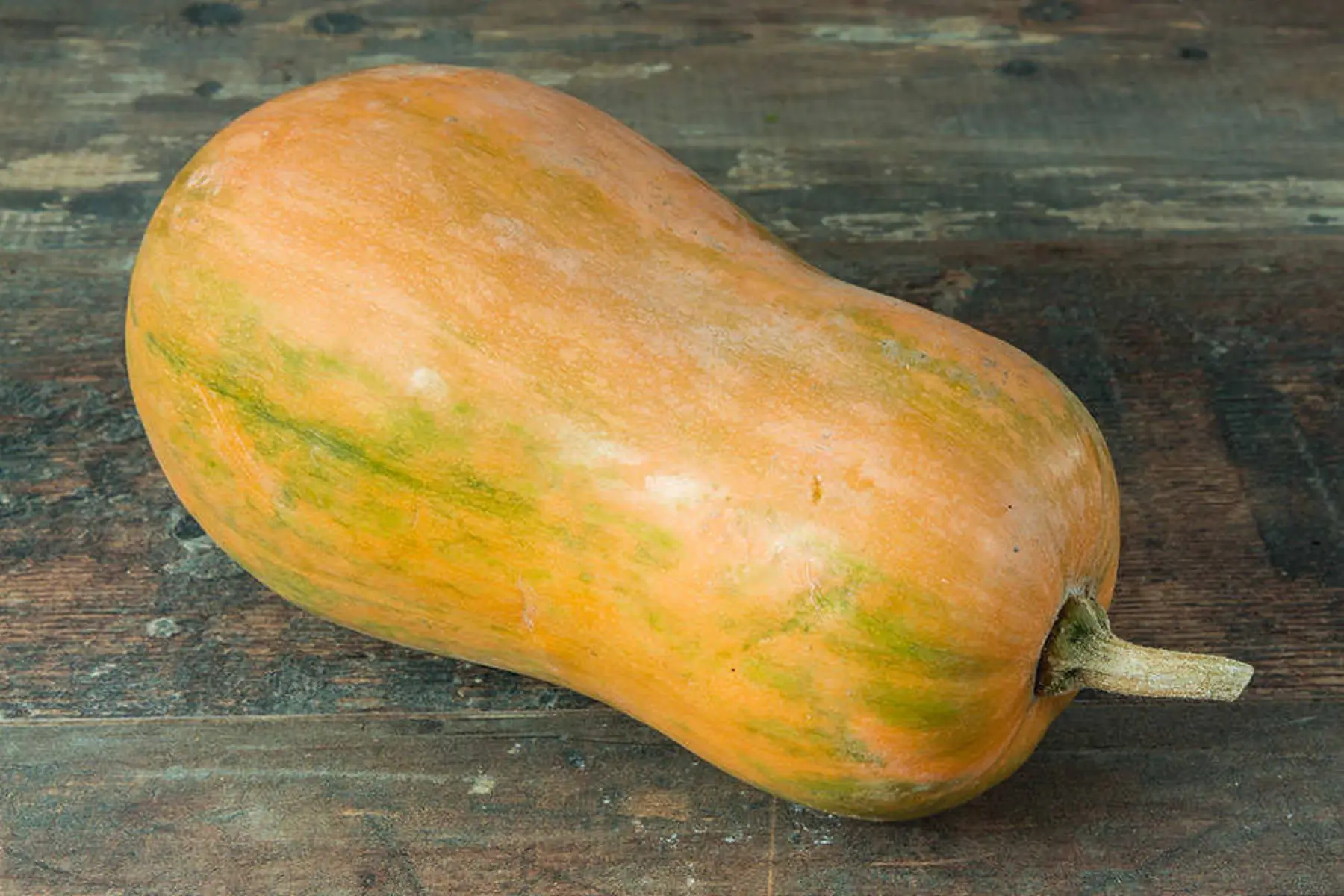 courge sucrine du berry