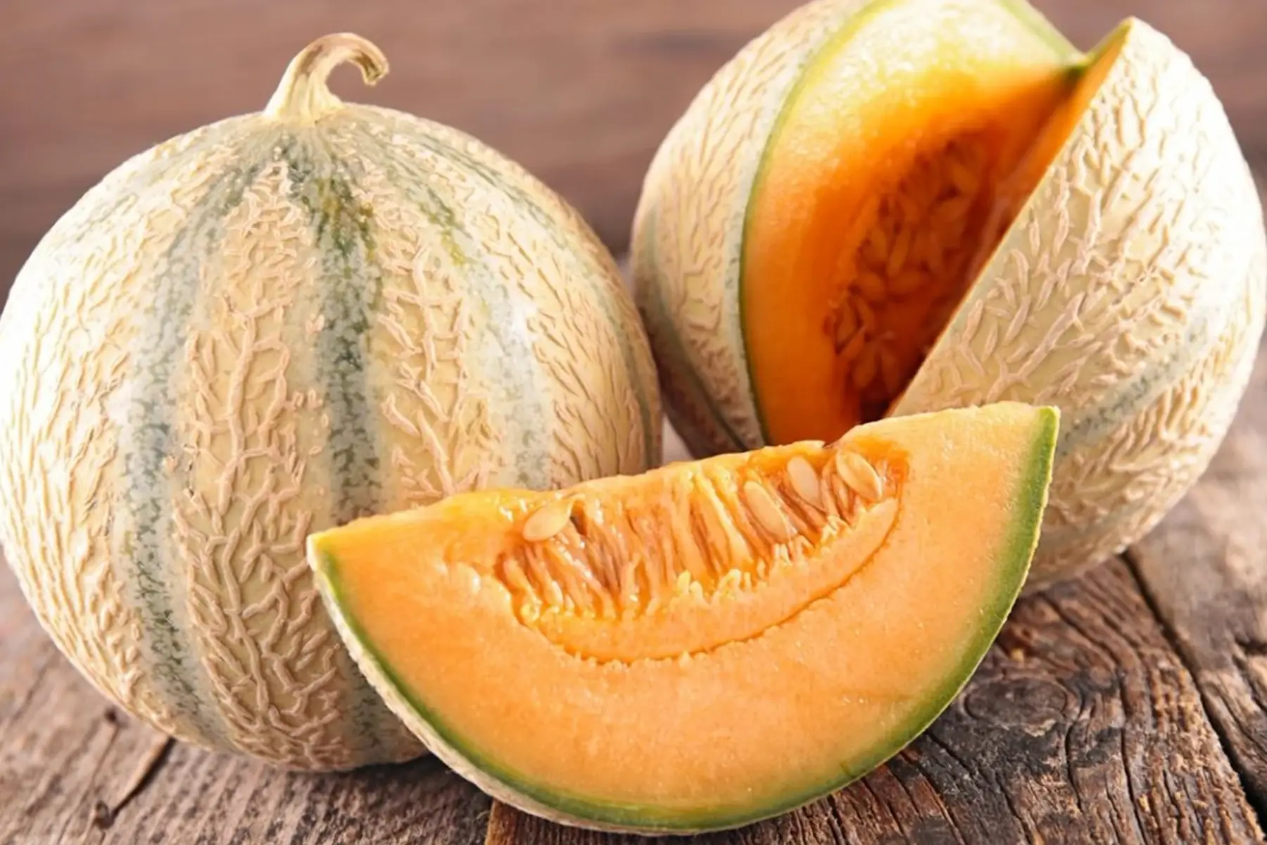 melon charentais (petit)