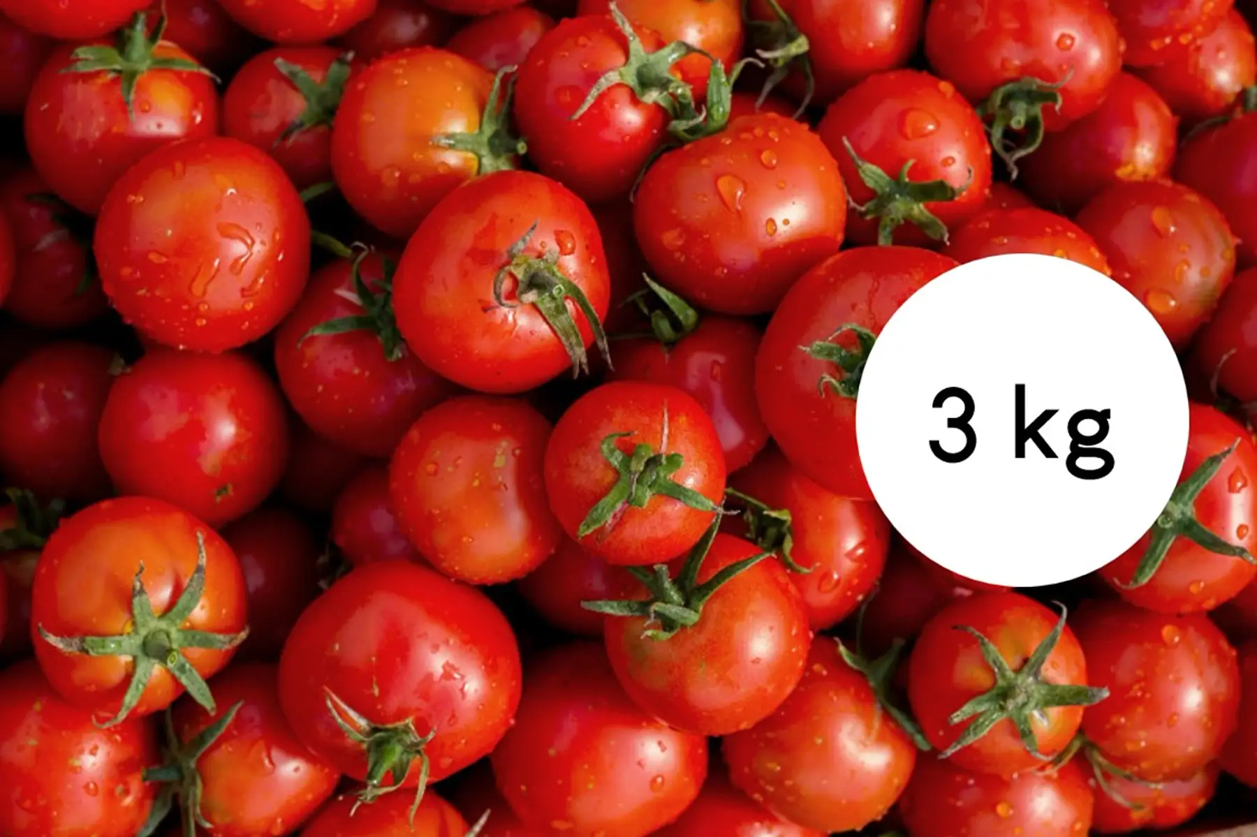 tomate ronde rouge - lot 3 kg