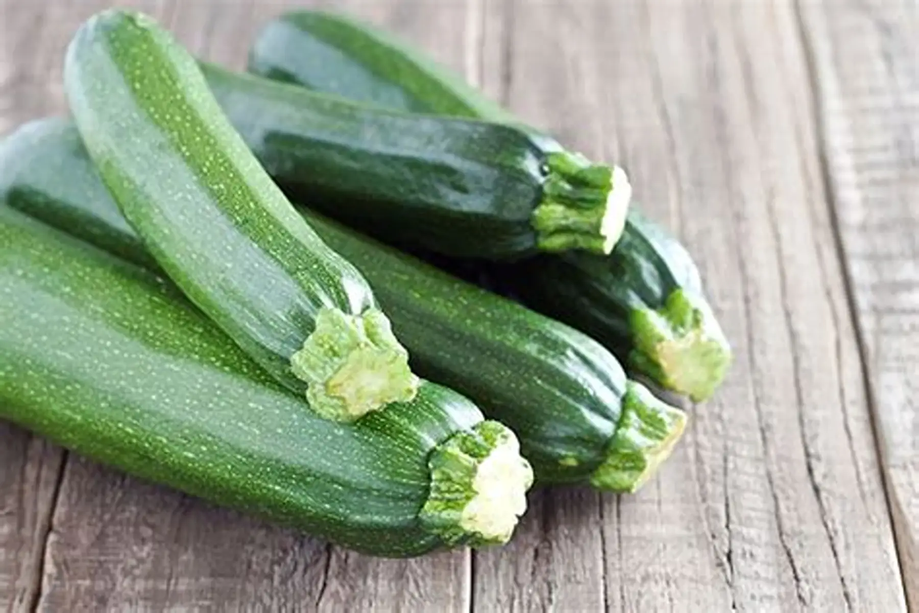 courgette verte