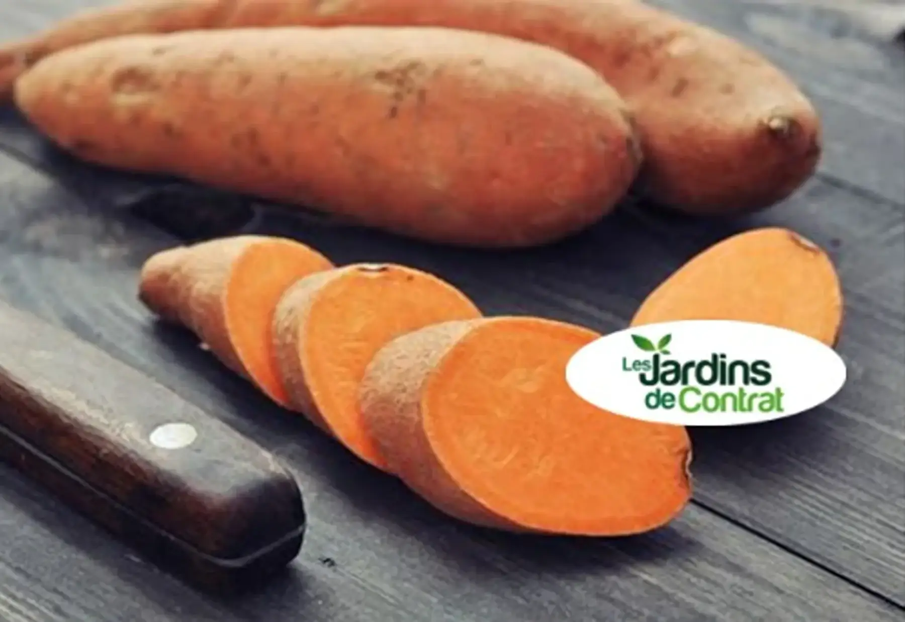 patate douce chair orange