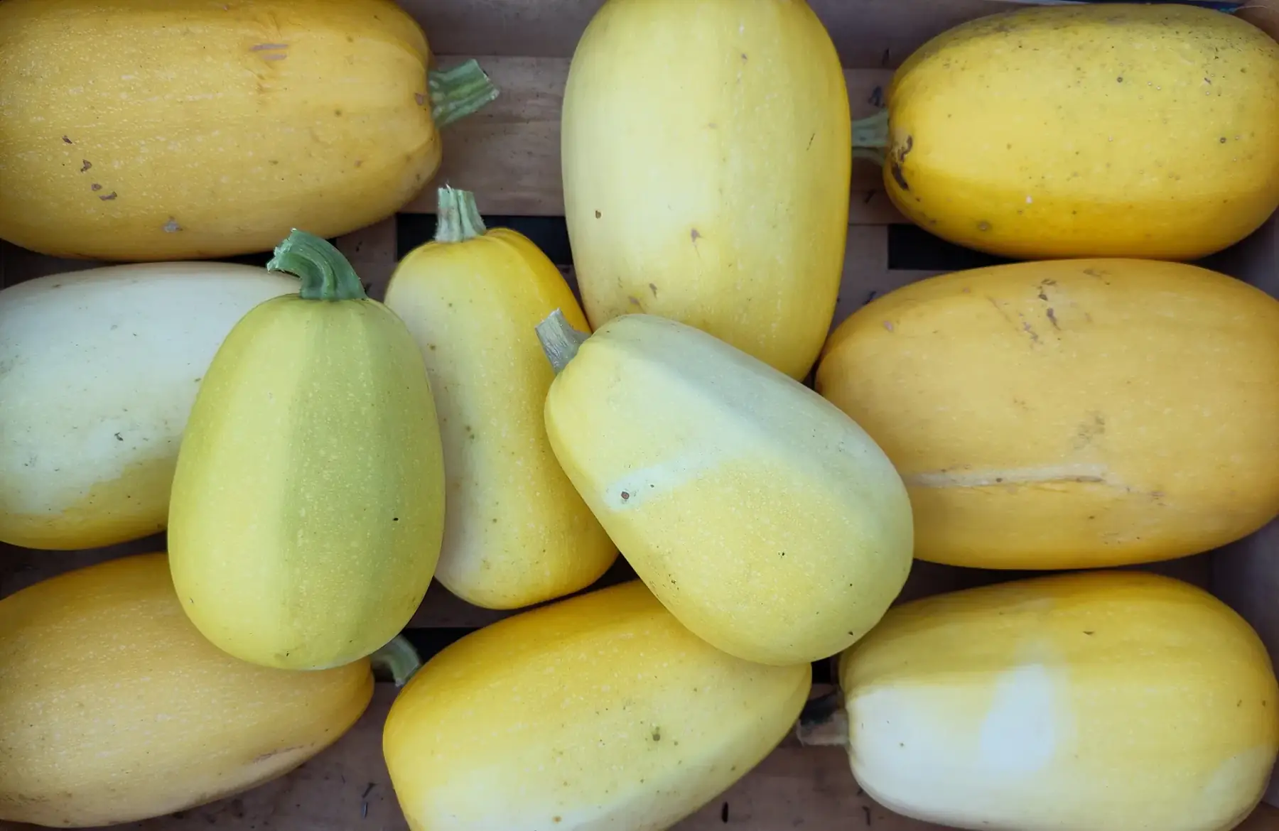 Les Jardins du Theil