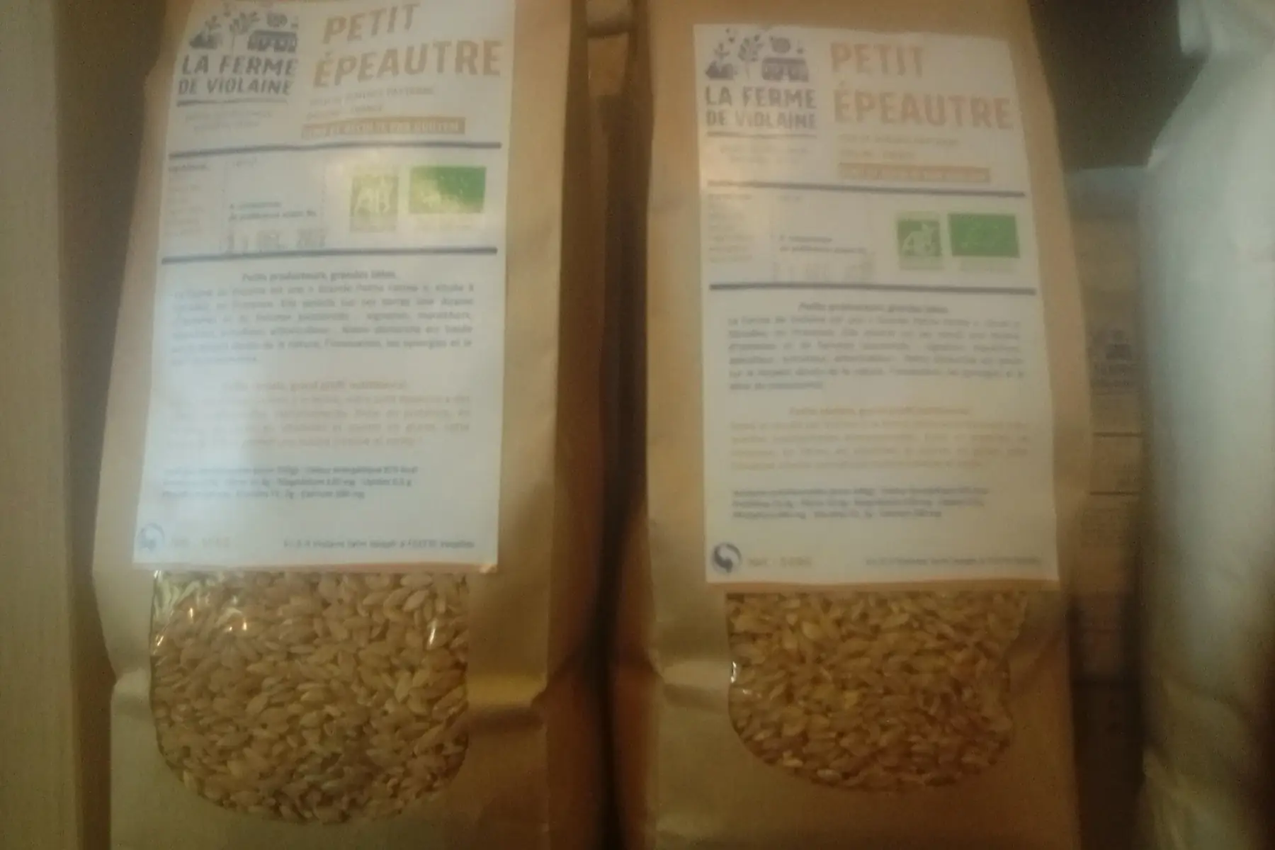 petit epeautre en grains