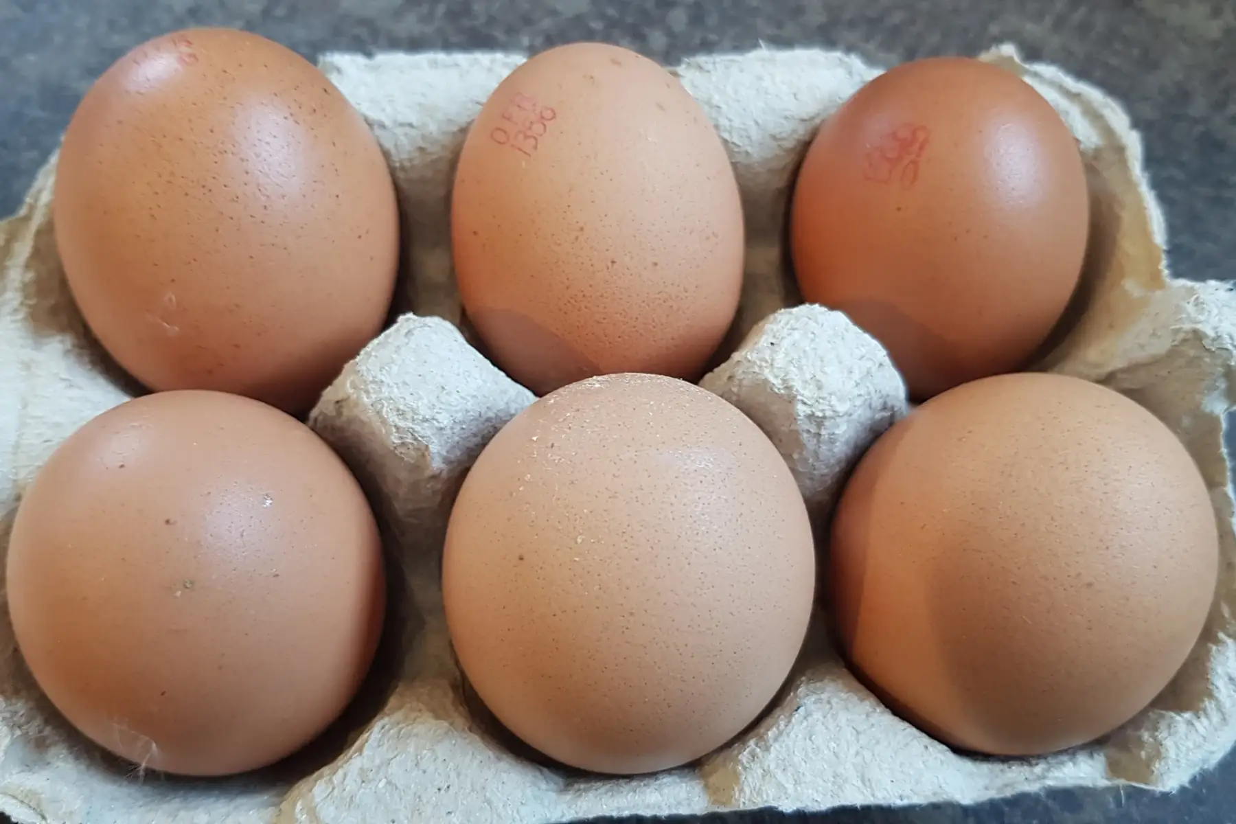 oeufs extra frais x 6