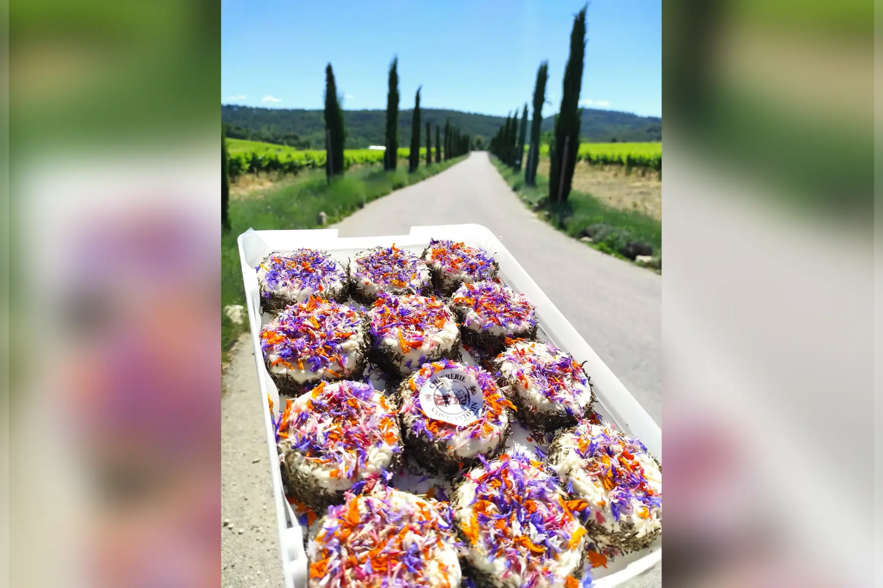 fromage de chèvre sarriette/fleurs