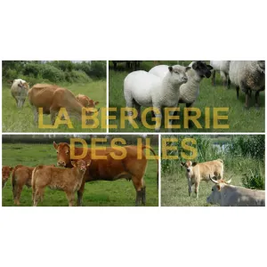 La Bergerie des Îles