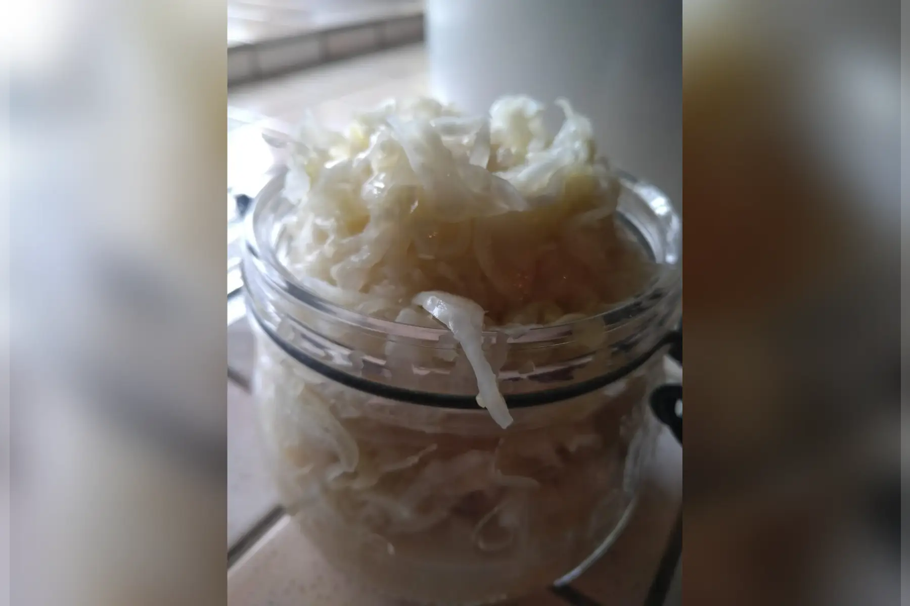 mélange 2 choux & radis