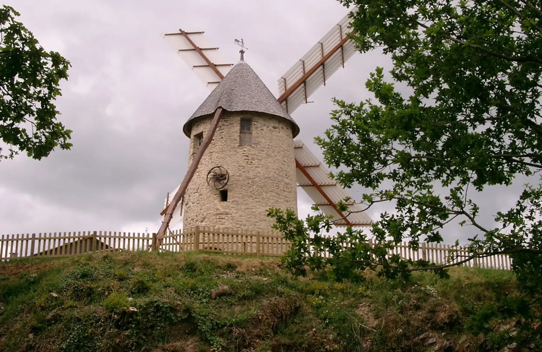 farine de blé t65 -5kg-