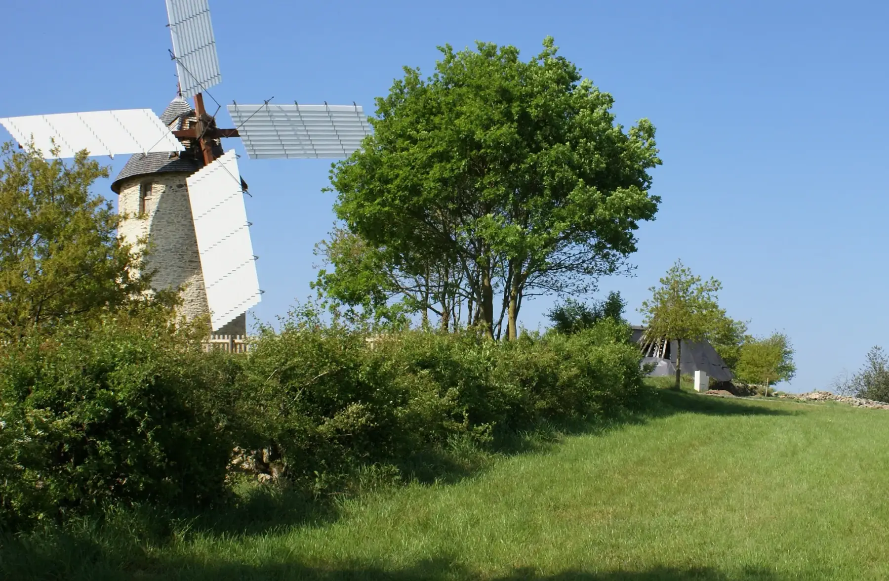 farine de blé t150 (complète ou intégrale) 5kg