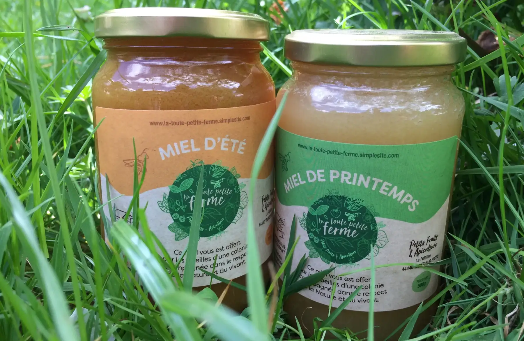 miel de printemps - 1kg