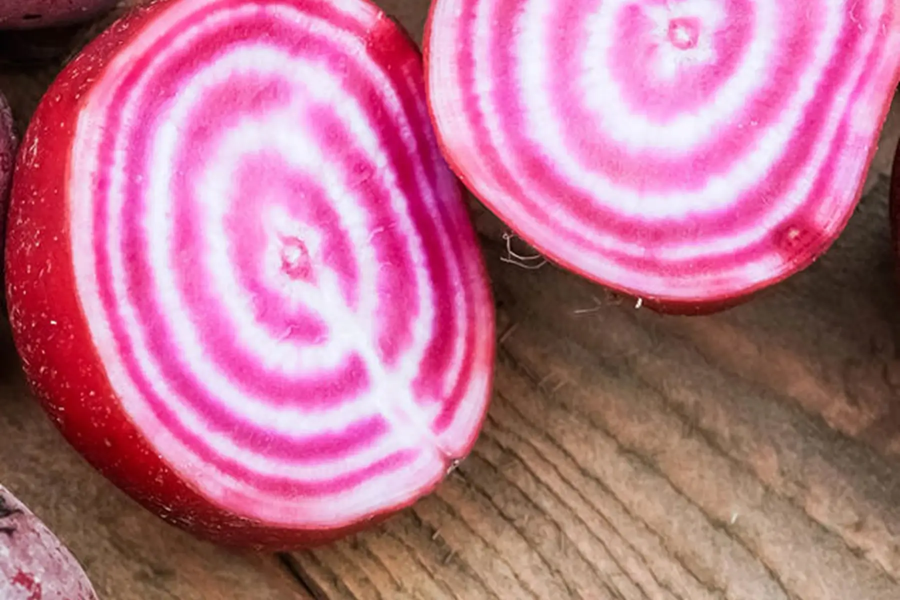 betterave chioggia en botte