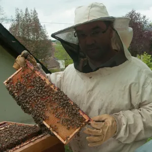 Les Ailes de la Courcelle