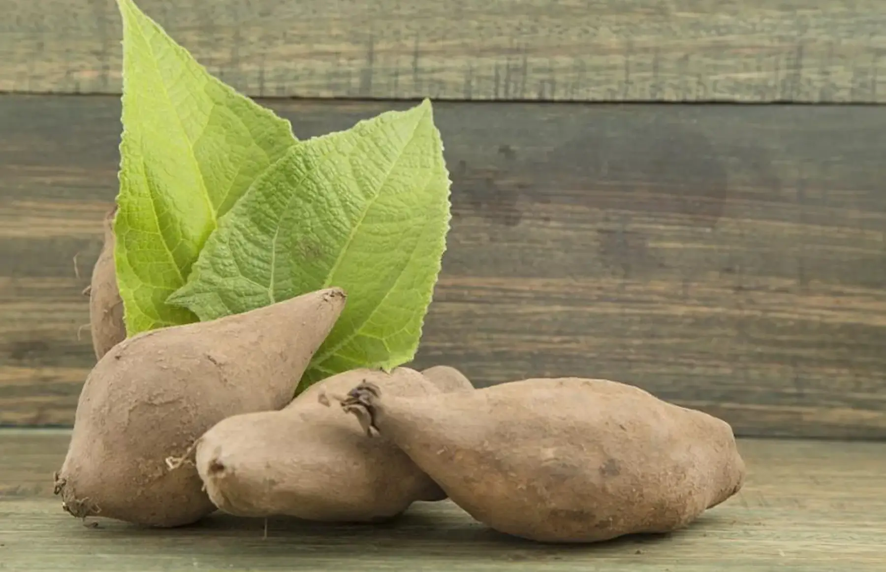 poire de terre yakon