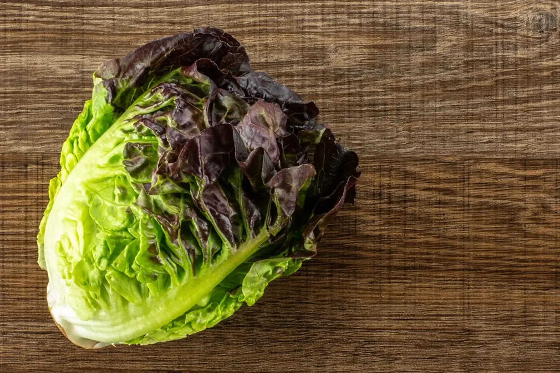 3 petits cœur de laitue rouge