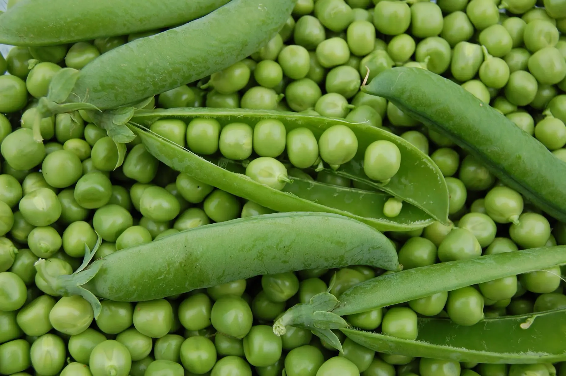 petit pois 500g