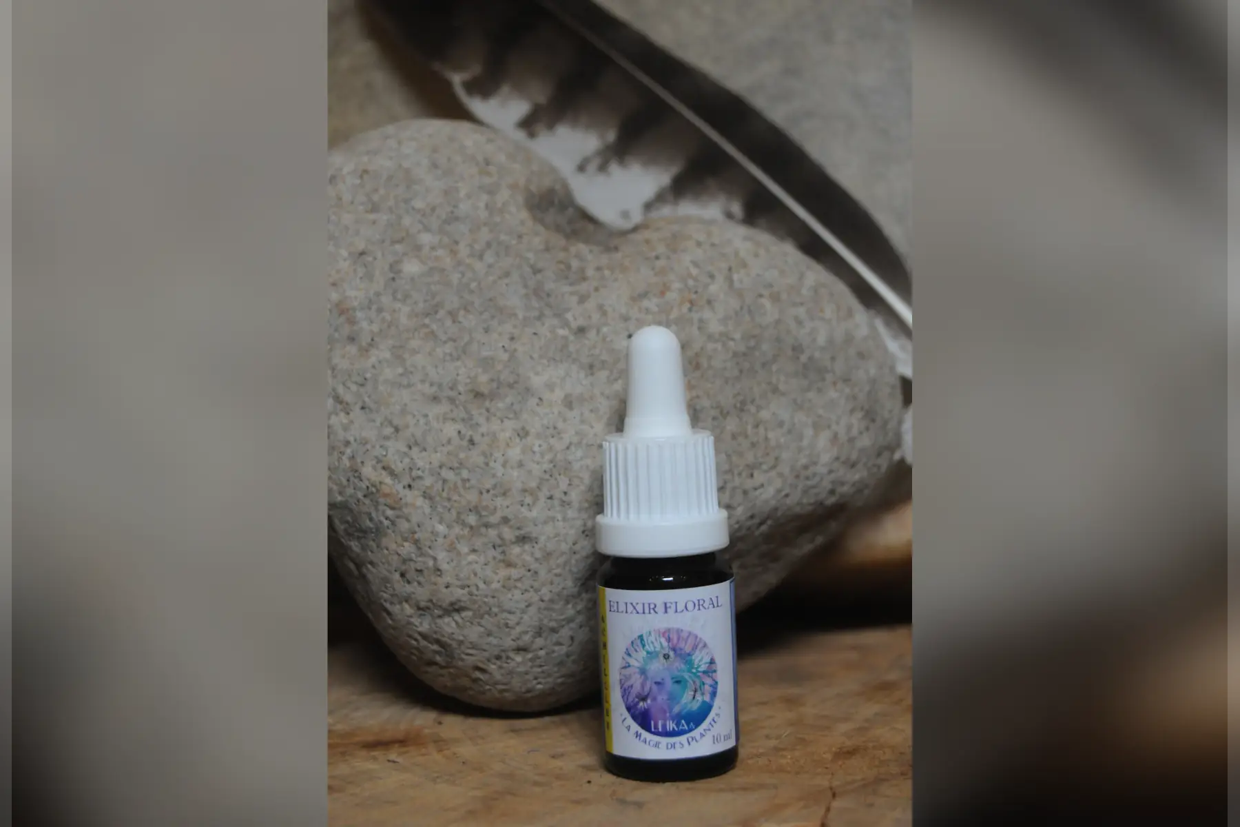 elixir floral "chicorée" (compréhension/acceptation)