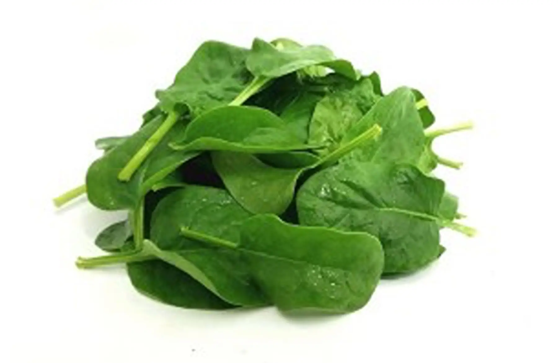 jeunes pousses d'épinard