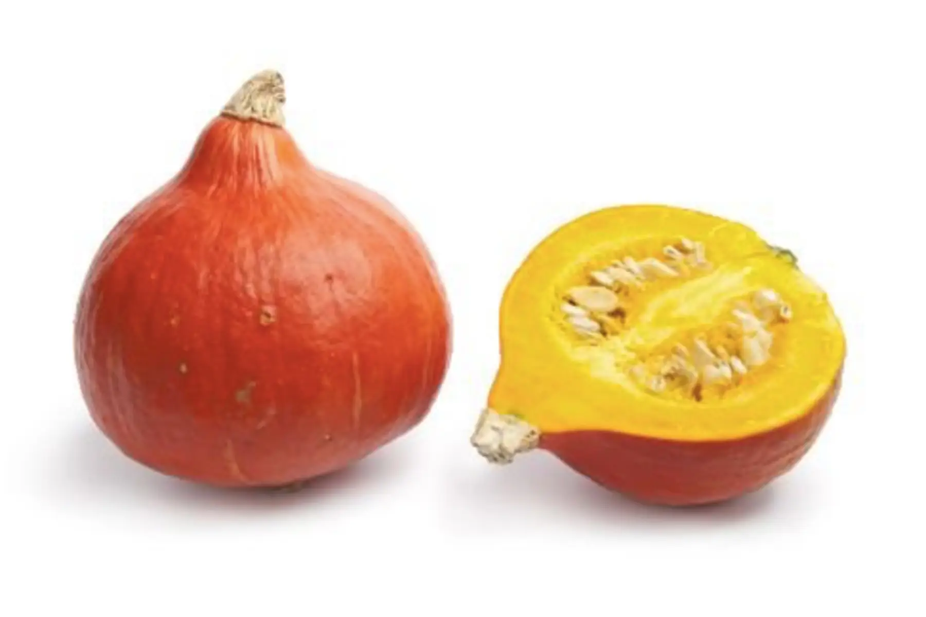 courge petit potimarron