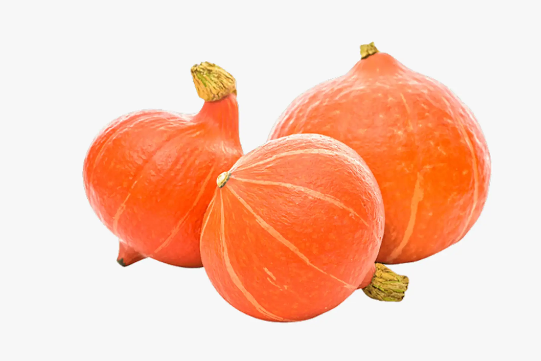 courge gros potimarron