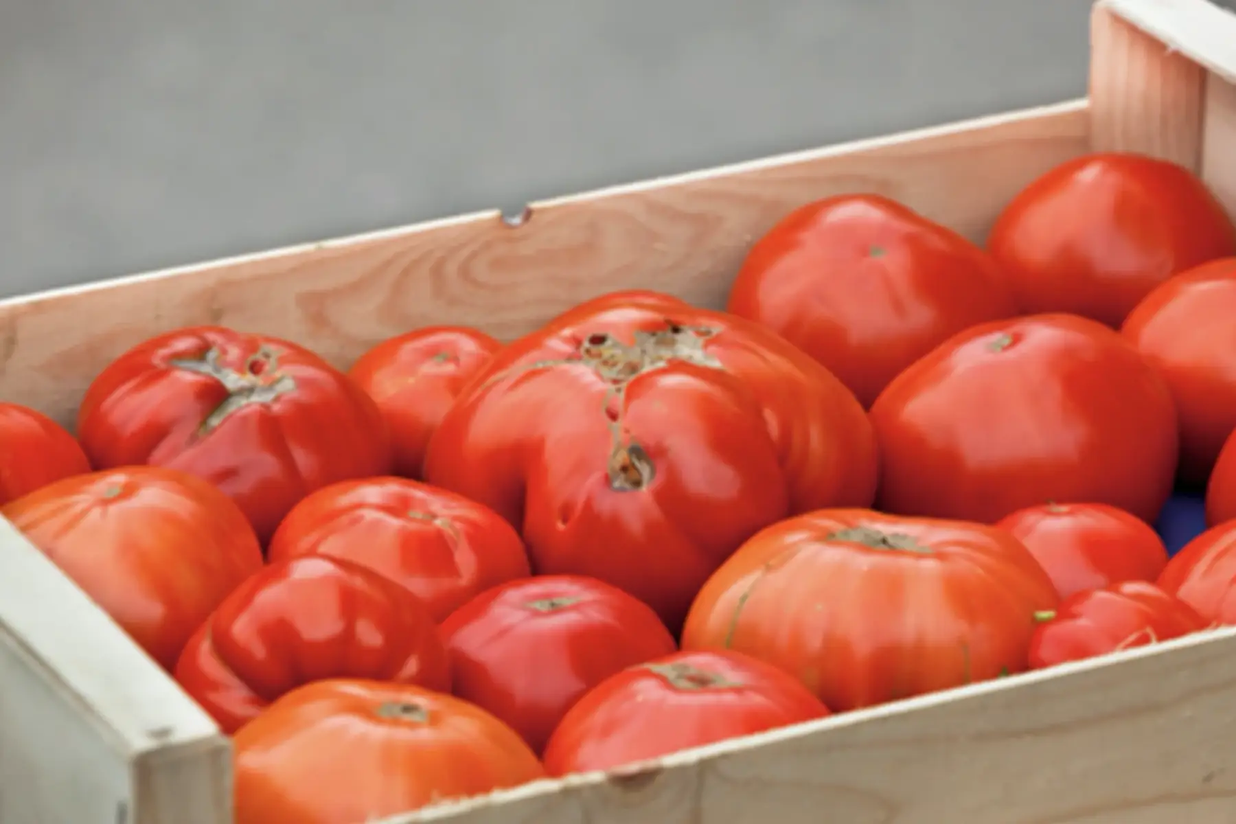 cagette de tomates très très mûres pour coulis
