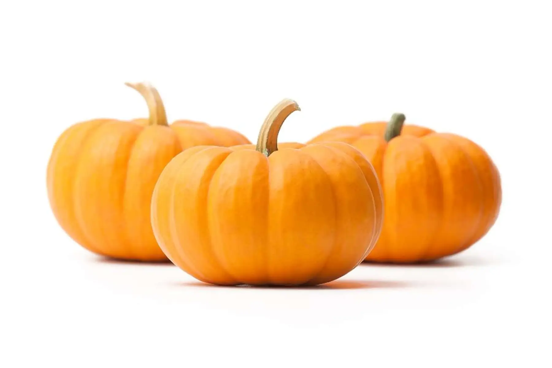 courge (mini) jack be little