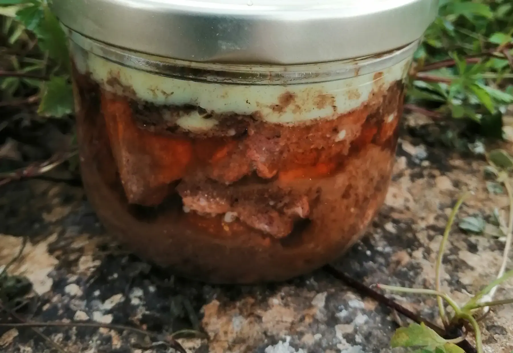 Bocal Tajine d'agneau 385 g