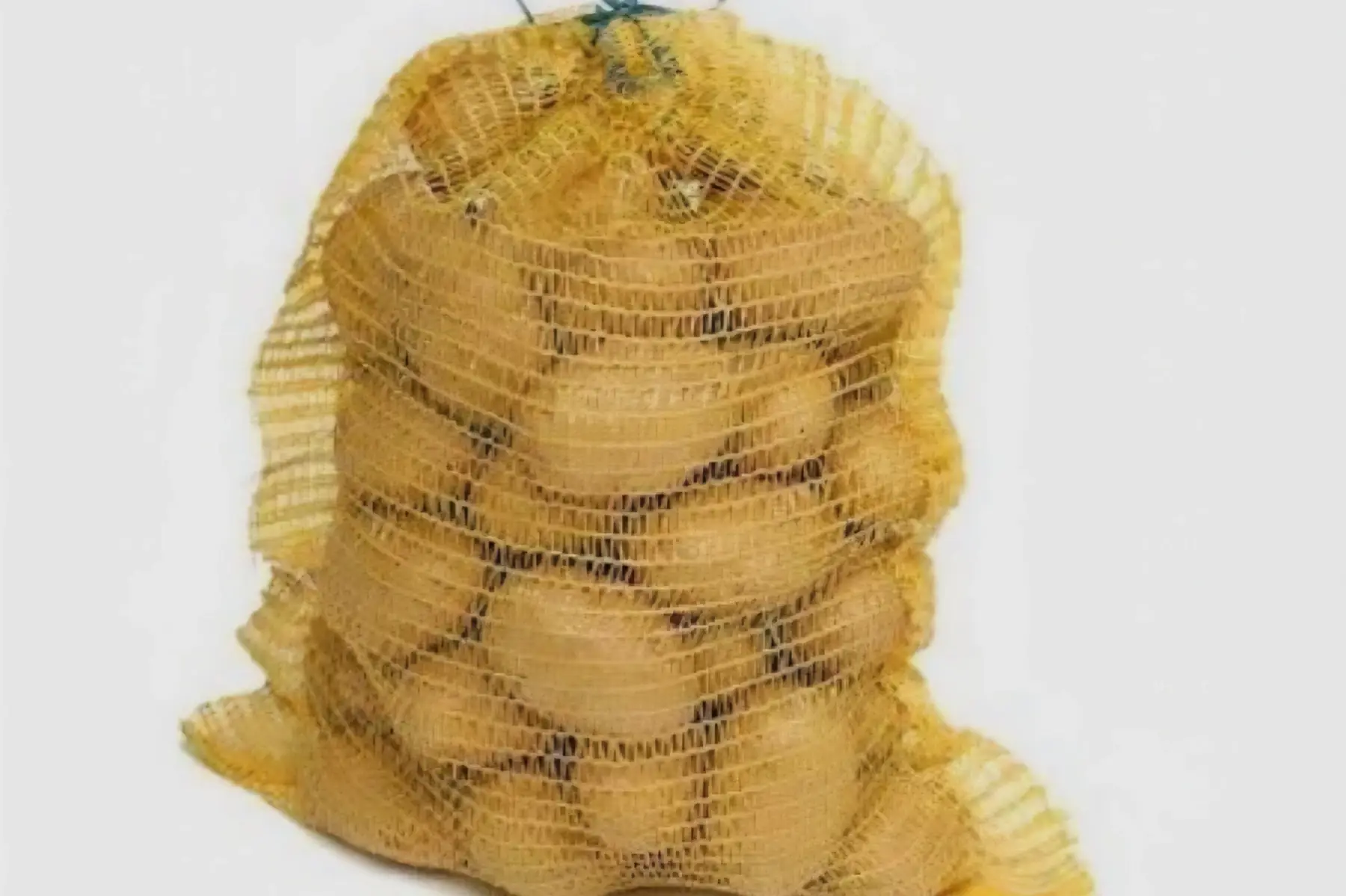 Filet PDT fondantes 3KG