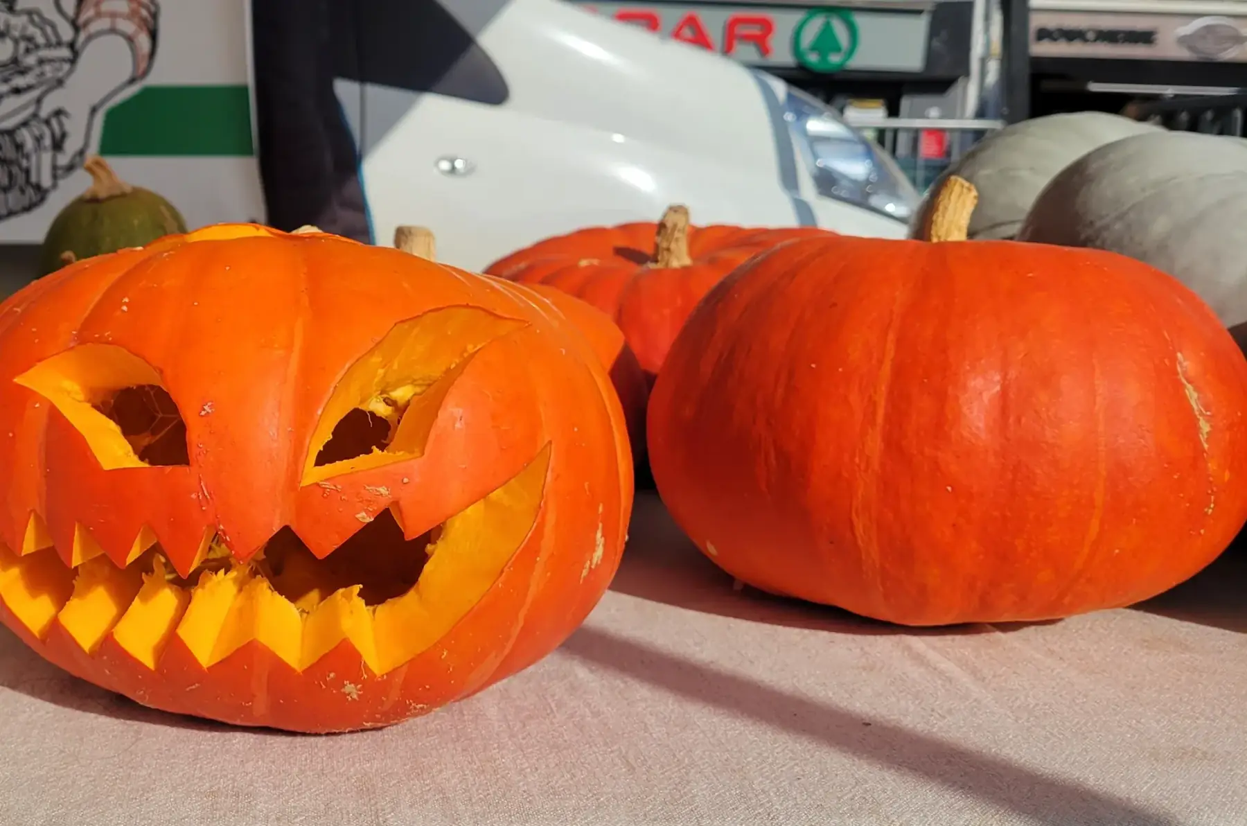 grosse citrouille rouge vif d'etampes bio