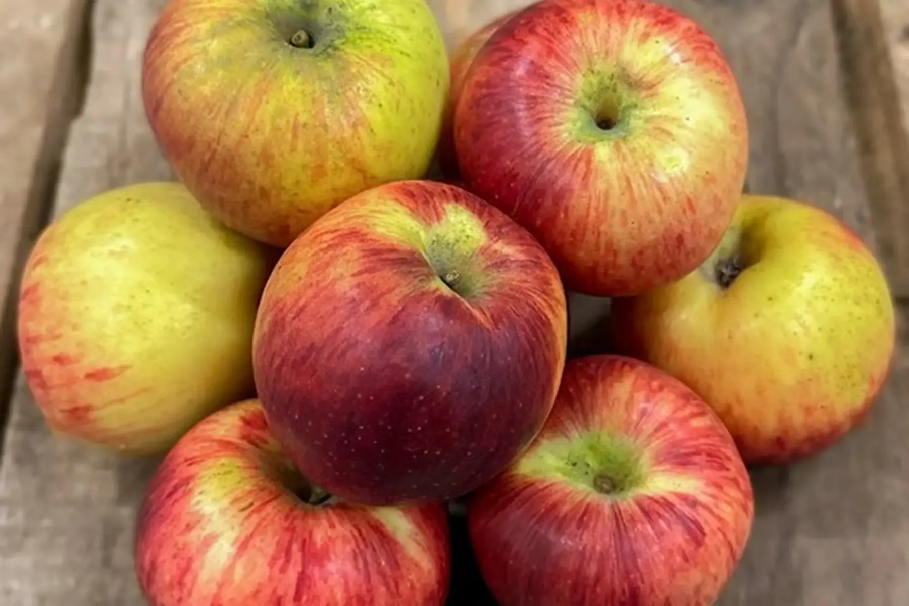 Pommes ROSASWEET