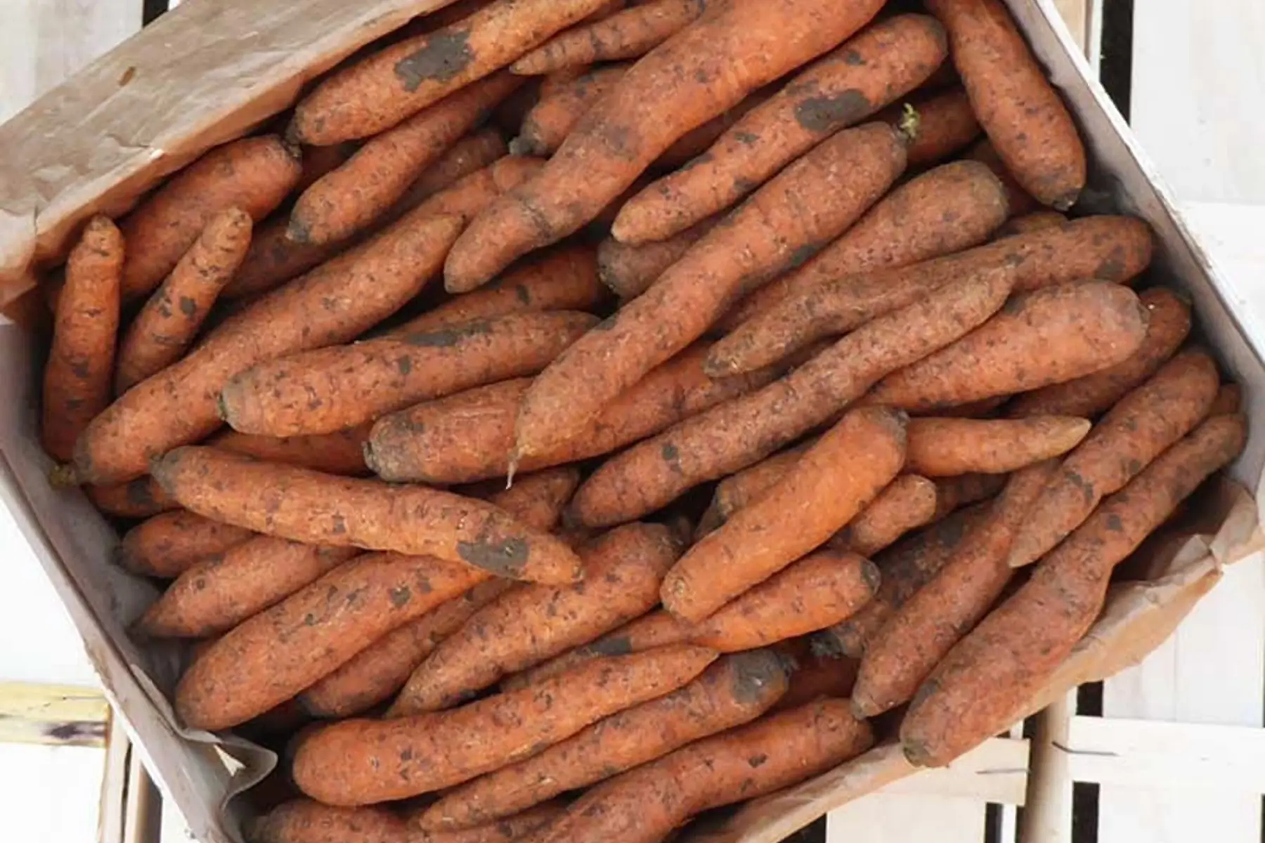 carottes (vrac)