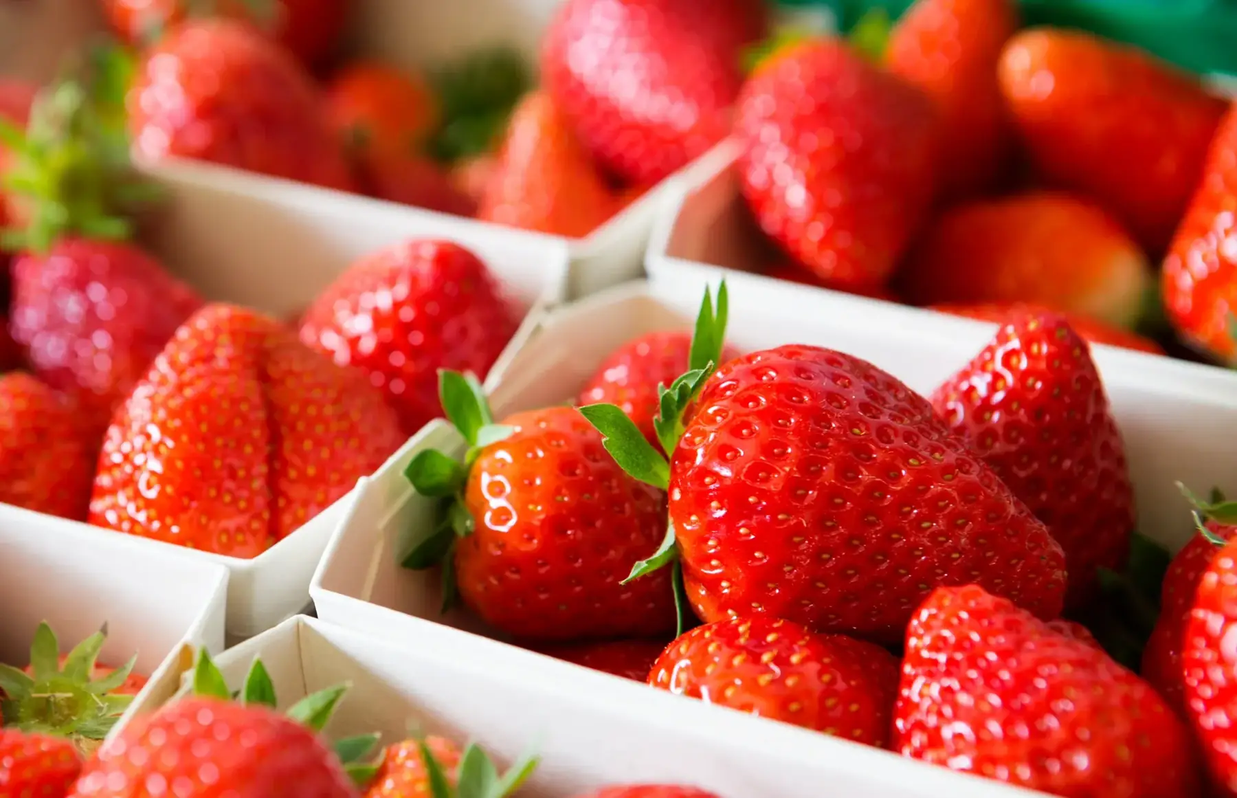 fraises