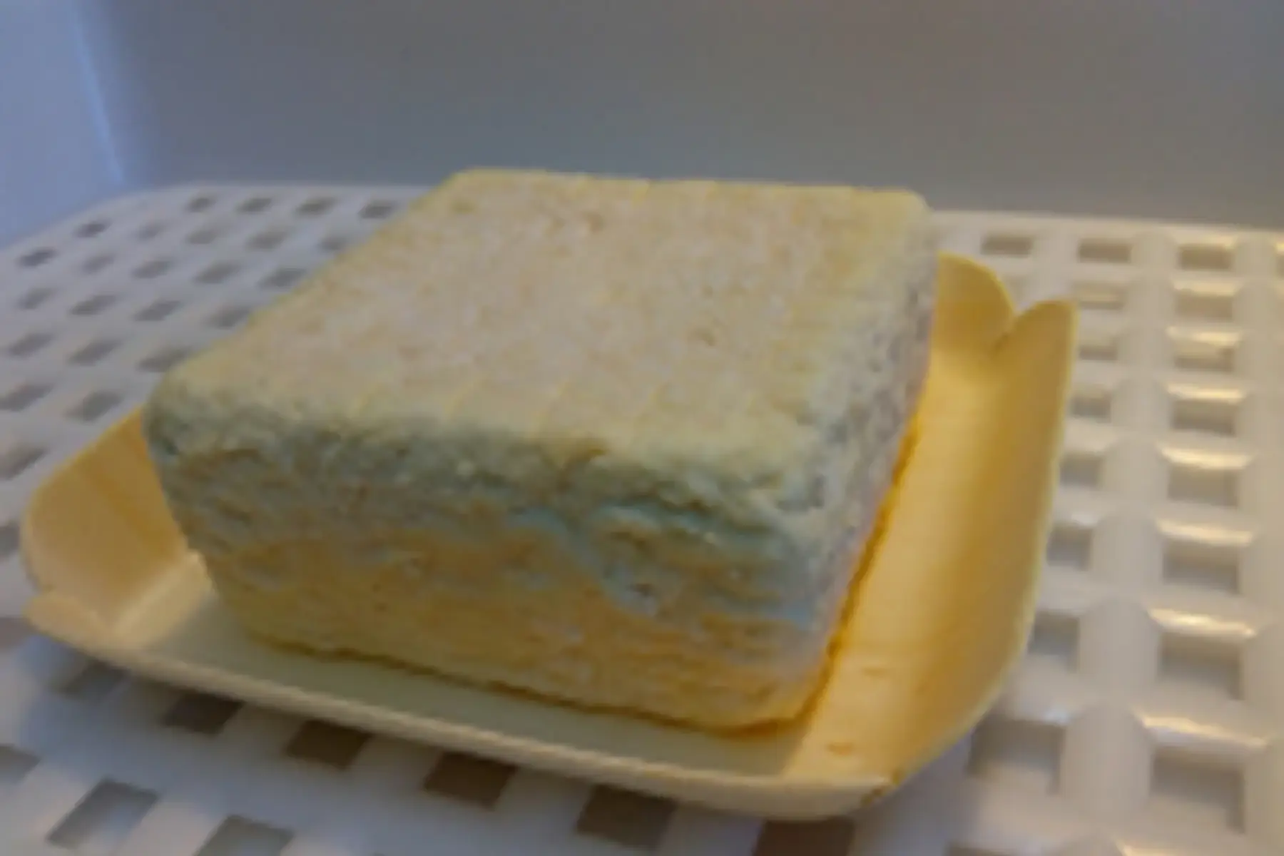 pavé de chèvre bio