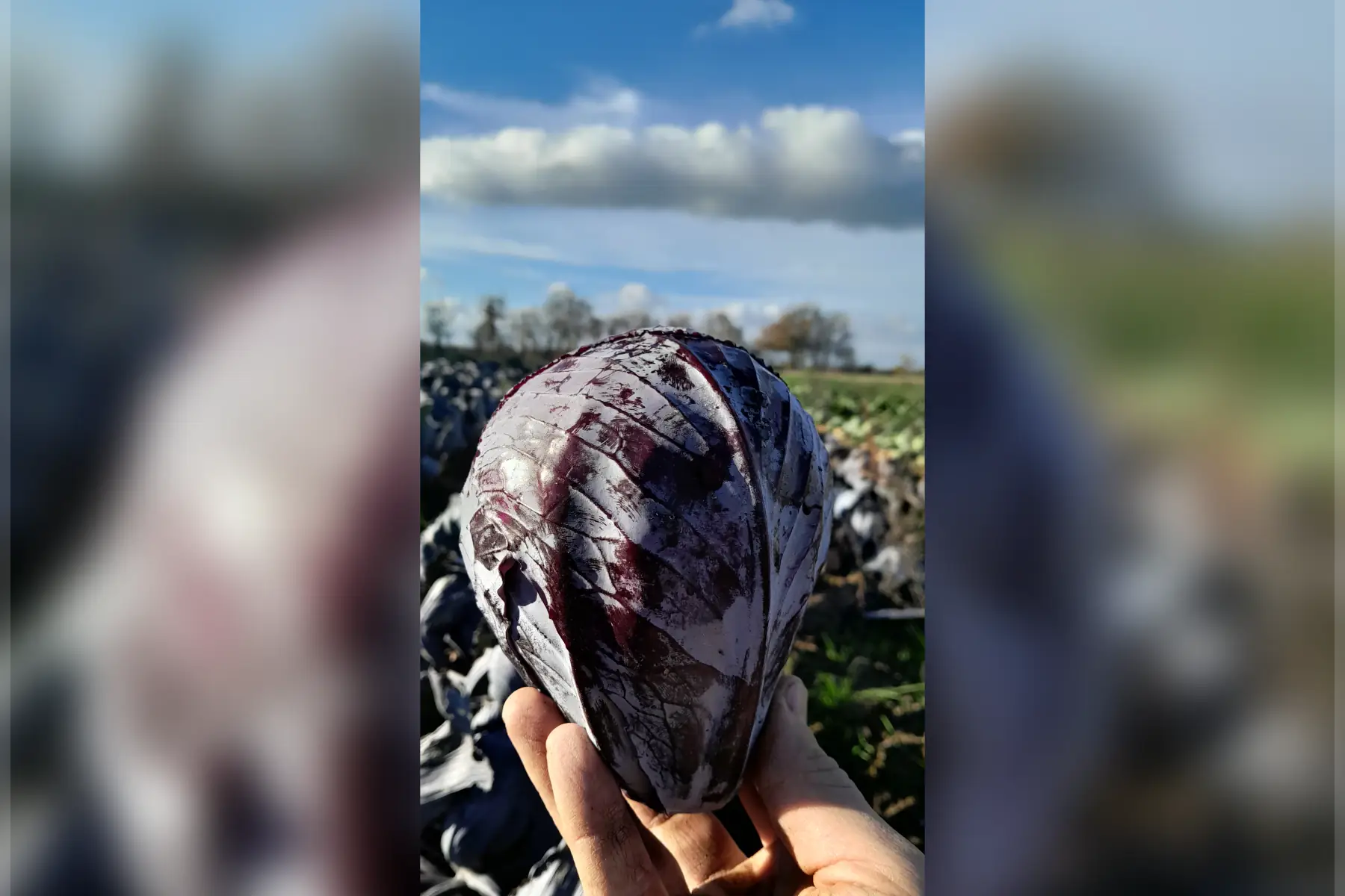 Ferme des Returières
