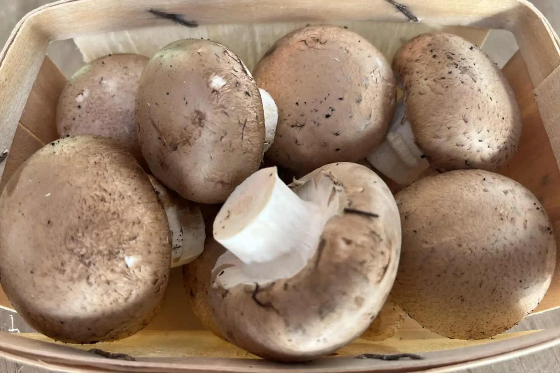 champignons de paris bio