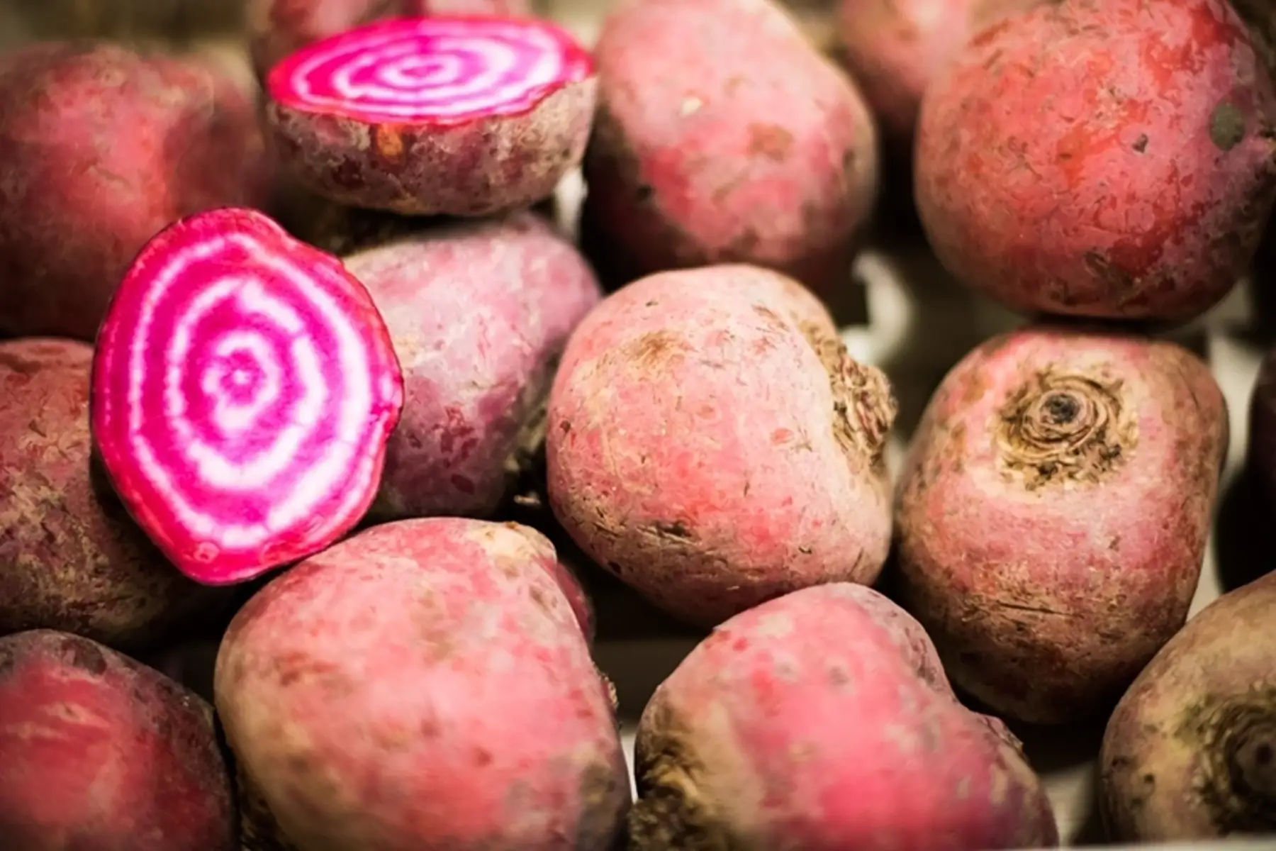 betterave chioggia bio