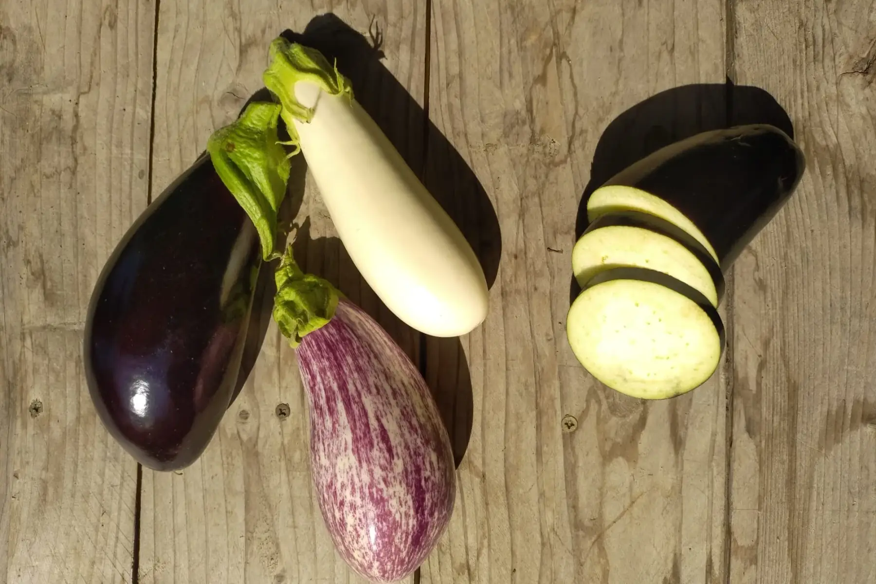 aubergine
