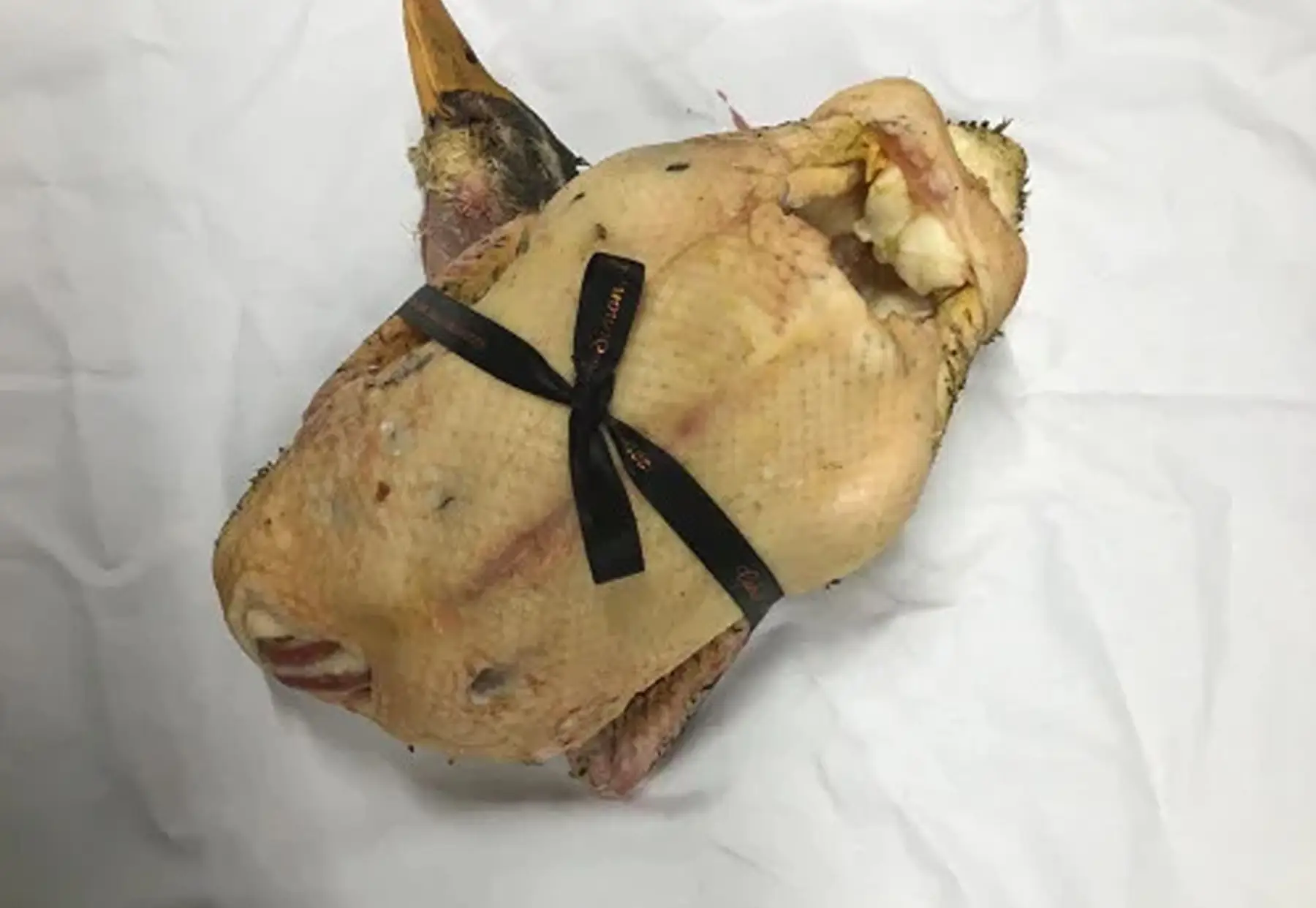 canard -cane de rouen