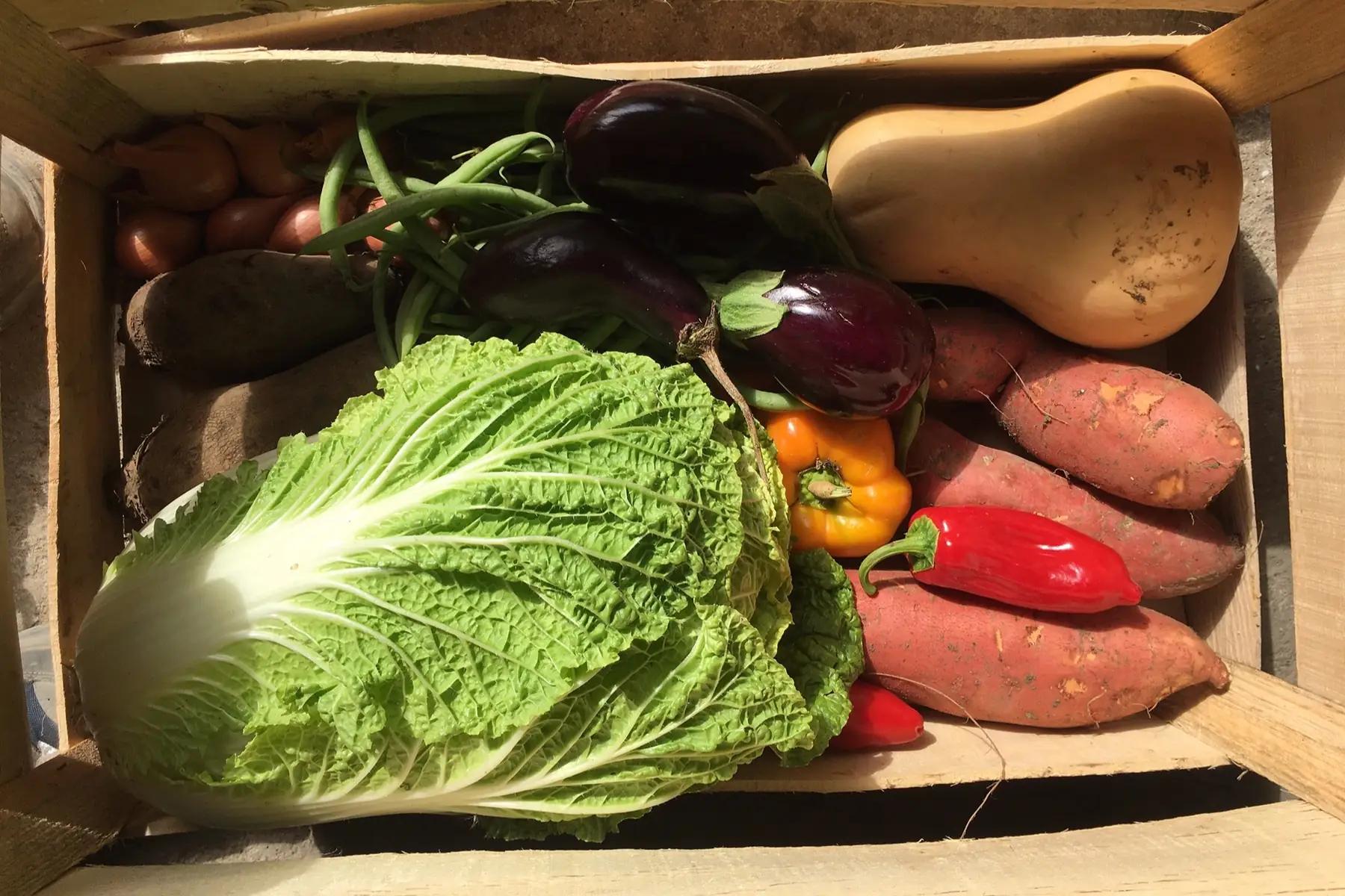 gaec l'accueillette du mignon