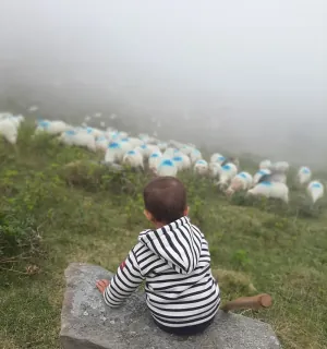 gaec la grande chaux