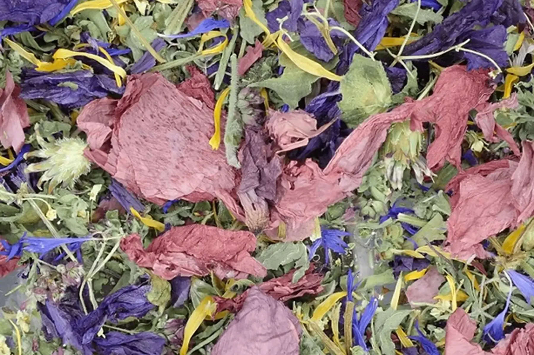 tisane lumière de noël