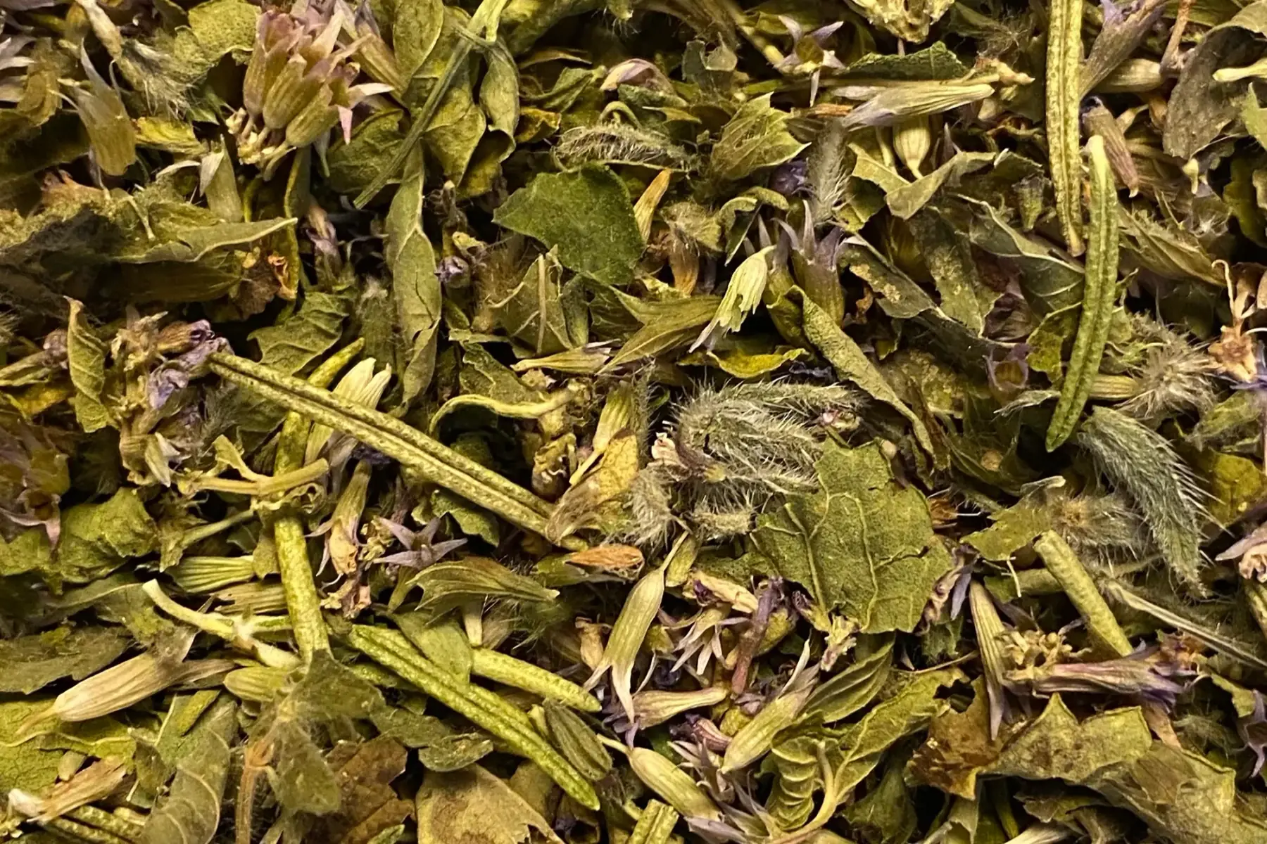 tisane vitalité