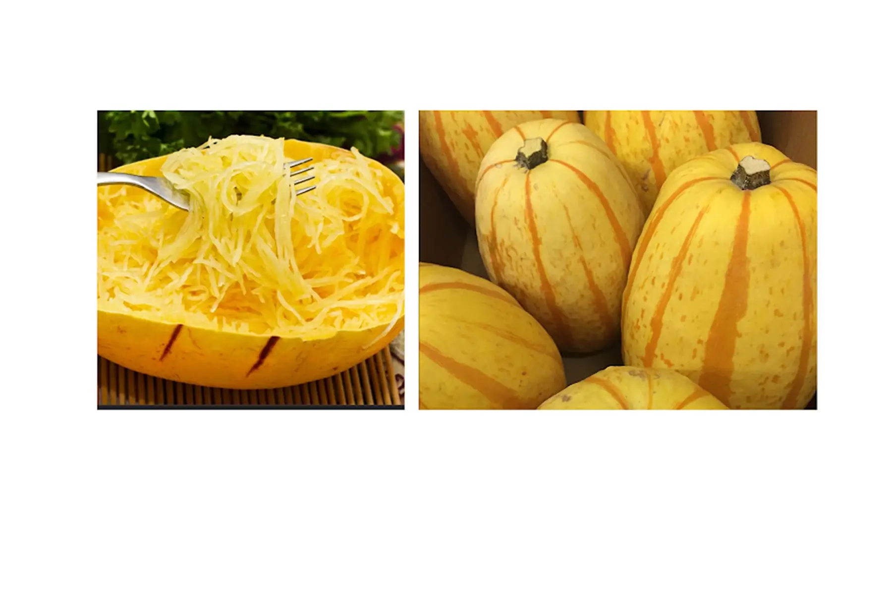 courge spaghetti